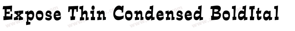 Expose Thin Condensed BoldItalic字体转换